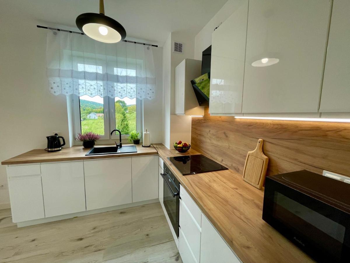 אוסטריצקי דולנה Apartament Jak Marzenie מראה חיצוני תמונה